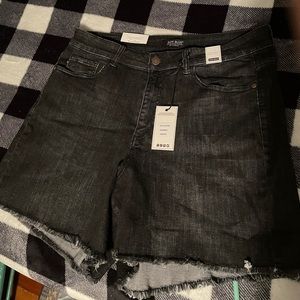 Judy Blue High Waisted denim cut off shorts